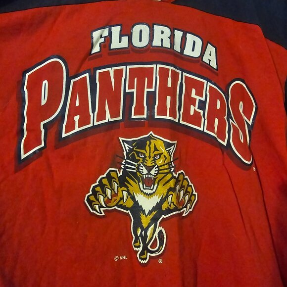 GTS Vintage Florida Panthers Logo Jersey Shirt 14 16 - Picture 2 of 5